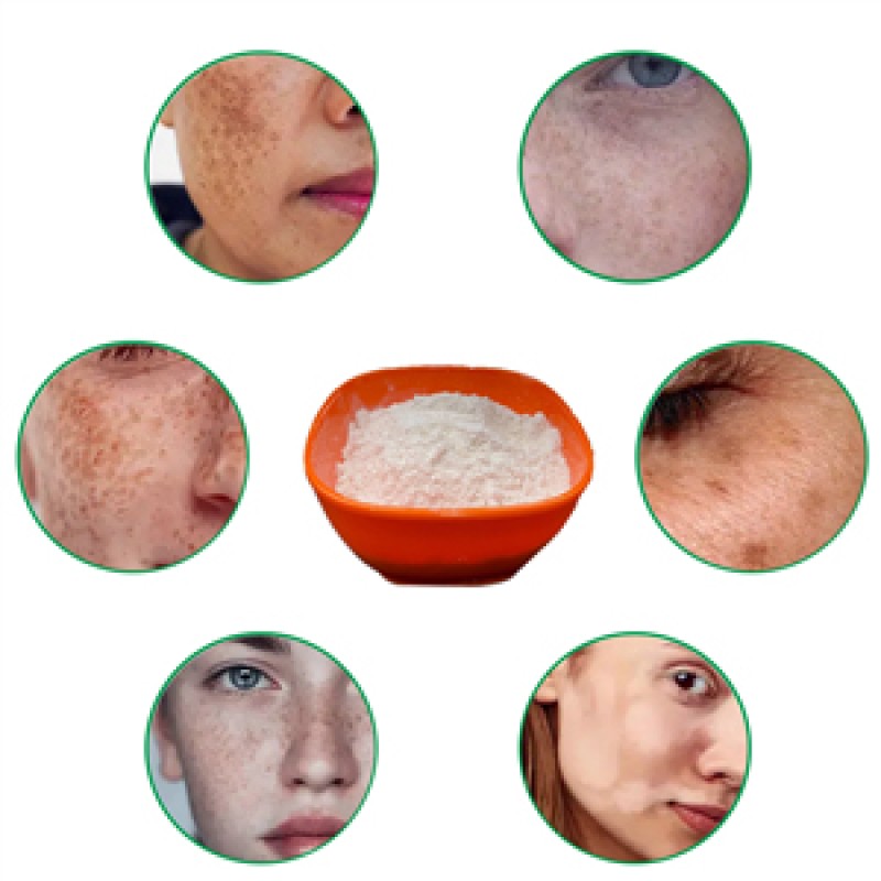 Collagen Powder Factory - Type II Hydrolyzed Cosmetic