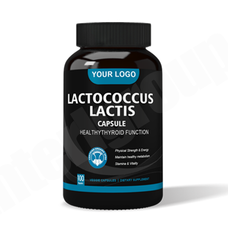 Lactococcus Lactis Capsules Manufacturer - Freeze Dried Probiotic