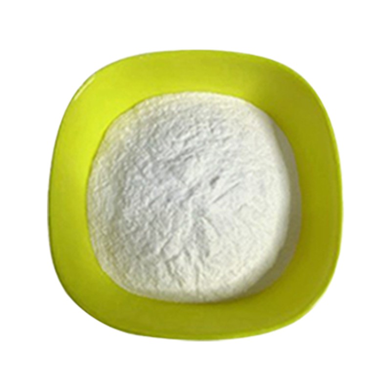 Creatine Powder Manufacturer - High Purity 99% Anhydrous