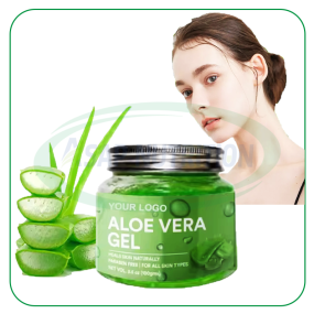 Aloe Vera Gel Supplier - Bulk 100% Organic Natural