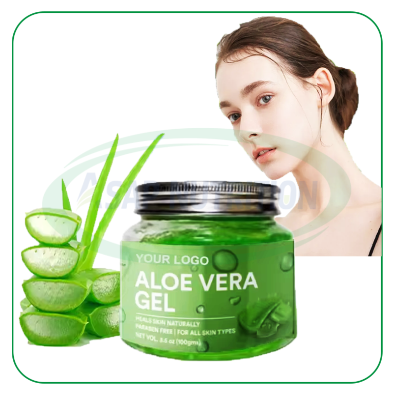 Aloe Vera Gel Supplier - Bulk 100% Organic Natural