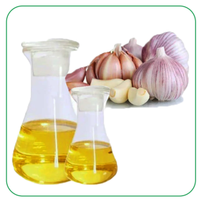 Garlic Oil Powder Factory - 100% Natural Essential Extract