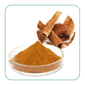 Cinnamon Extract Supplier - Organic Pure Oleoresin