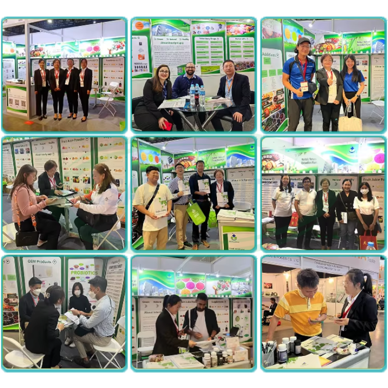 Iron Glycinate Powder Factory - 90% 99% Amino Acid Chelate