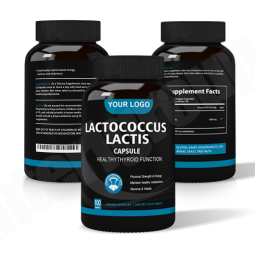 Lactococcus Lactis Capsules Manufacturer - Freeze Dried Probiotic