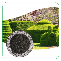 Cocamidopropyl Betaine Liquid Manufacturer - 30% Bulk Price