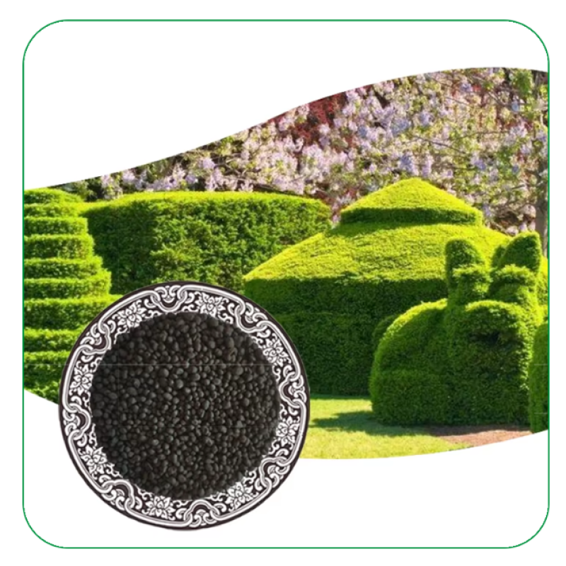 Cocamidopropyl Betaine Liquid Manufacturer - 30% Bulk Price