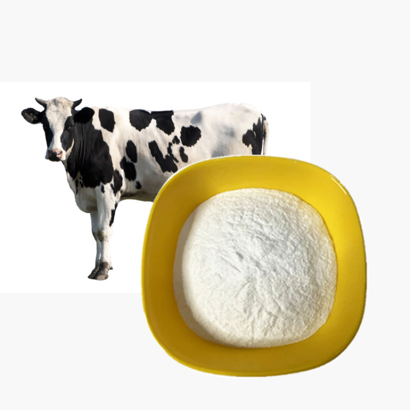 Bovine Collagen Powder Manufacturer - Halal Hydrolyzed Peptide