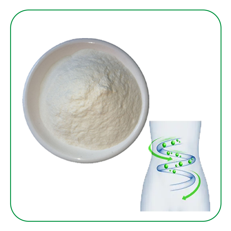 Lactobacillus Rhamnosus Powder Supplier - 98% Pure Health