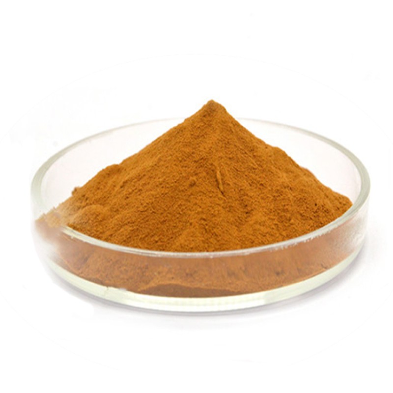 Cinnamon Extract Supplier - Organic Pure Oleoresin