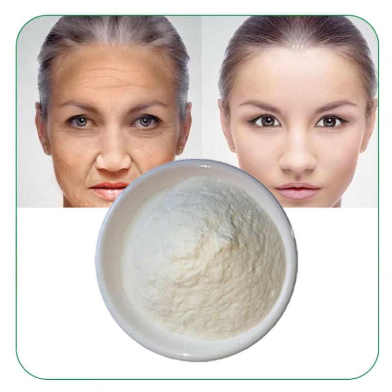 NMN Powder Supplier - 99% Pure Anti-aging Supplement