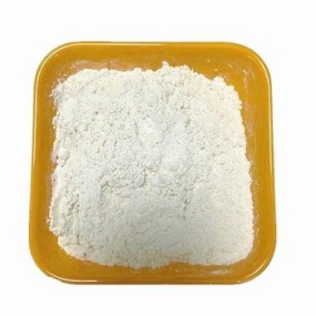 Colloidal Silver Powder Manufacturer - 99% Pure CAS 7440-22-4