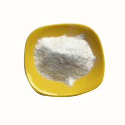 Bifidobacterium Powder Supplier - Freeze Dried Probiotic