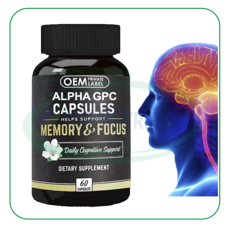 Nootropic Capsules Factory - Alpha Brain Premium Focus Memory