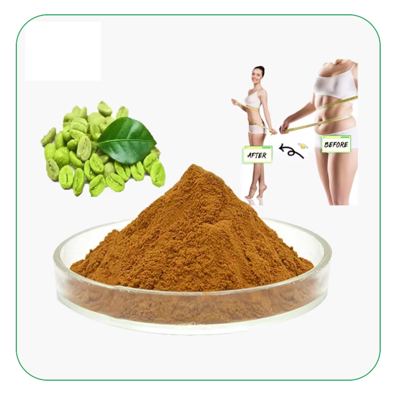 Chlorogenic Acid Powder Factory - 50% 98% Food Grade