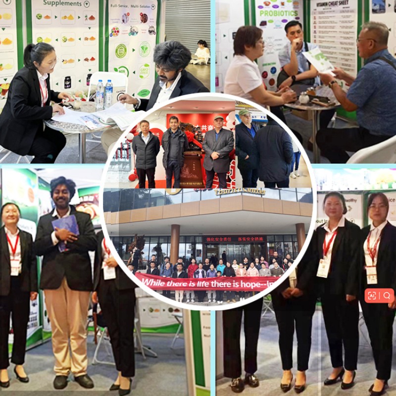 Ginseng Powder Manufacturer - 98% Pure Plant Extract