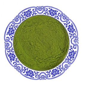 Moringa Extract Supplier - 10:1 Leaf Extract Powder