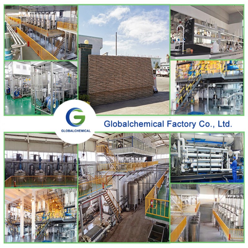 Creatinol-O-phosphate Powder Factory - 99% Pure Supplement