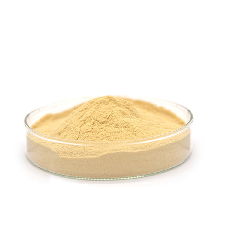 Ginseng Powder Manufacturer - 98% Pure Plant Extract