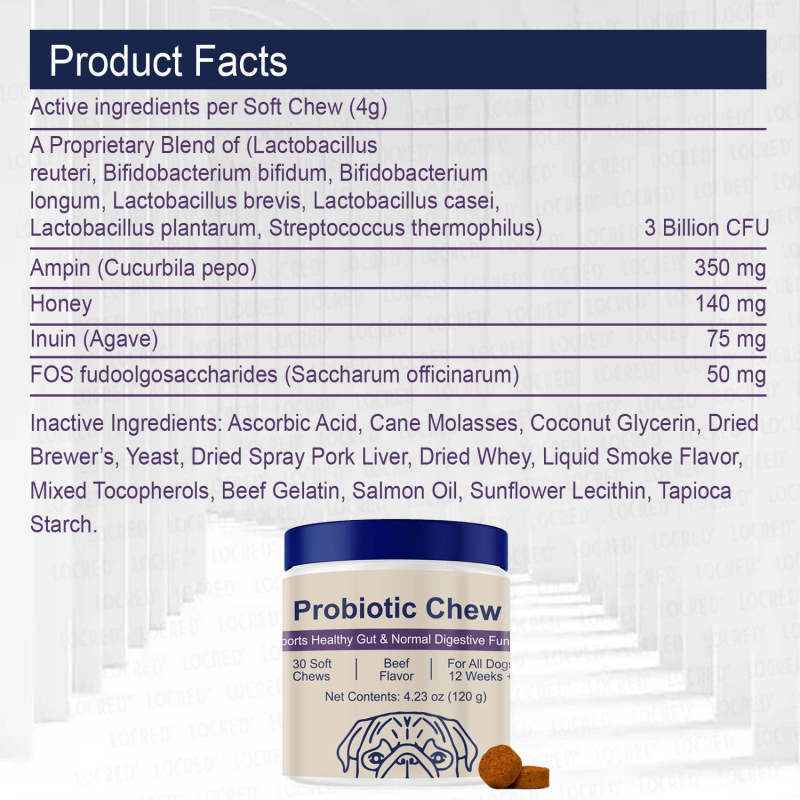 Probiotic Chew for Dogs Factory - New Arrival Soft Chews Healthy Gut Allergy