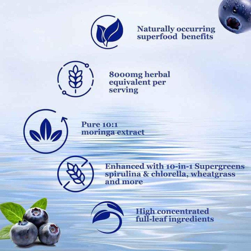 Moringa Leaf Liquid Drops Factory - OEM Raw Supergreens Blend Wheatgrass Herbal