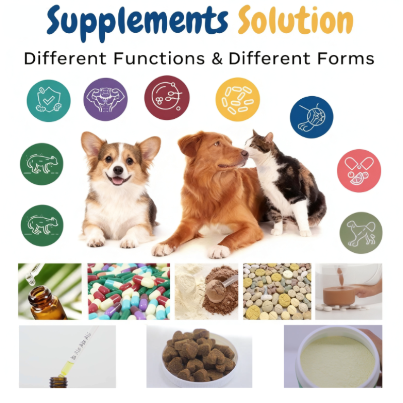 Probiotic Capsules for Pets Factory - Protexin D-C Customizable Flavor Synbiotic