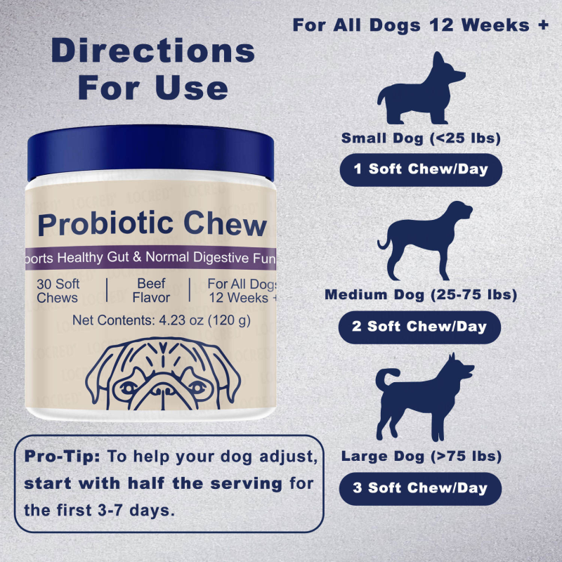 Probiotic Chew for Dogs Factory - New Arrival Soft Chews Healthy Gut Allergy