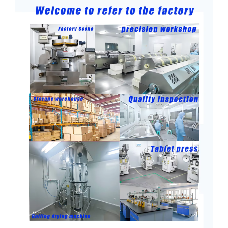 Dog Multivitamin Supplement Manufacturer - Natural 10 in 1 Glucosamine Probiotic Omega