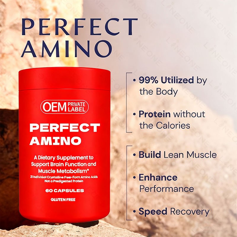 Amino Acids Supplement Supplier - BCAA Pre Post Workout