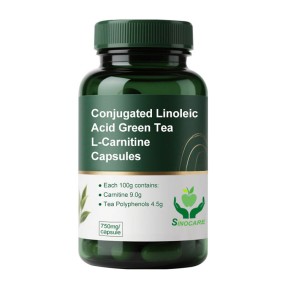 L-Carnitine Capsules Supplier - High Dose 750mg Vegan