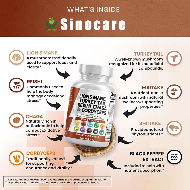 Mushroom Extract Capsules Factory - 20 in 1 Reishi Maitake Blend