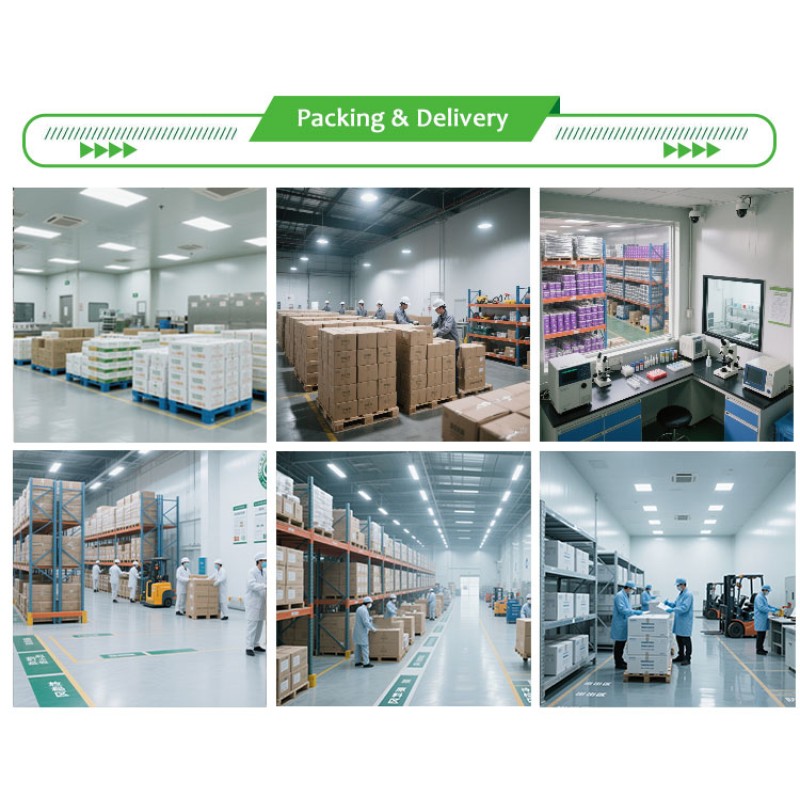 Omega-3 Softgels Supplier - Fish Oil DHA EPA Memory