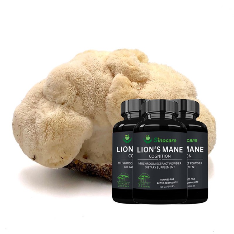 Mushroom Extract Capsules Manufacturer - Lion's Mane Digestion Support