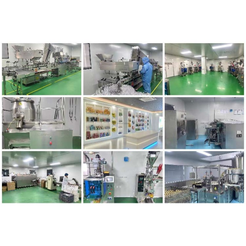 Creatine Powder Supplier - Monohydrate Muscle Strength Performance