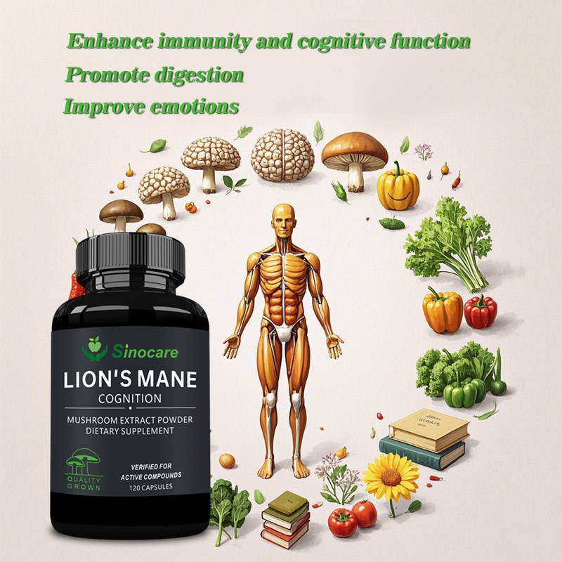 Mushroom Extract Capsules Manufacturer - Lion's Mane Digestion Support