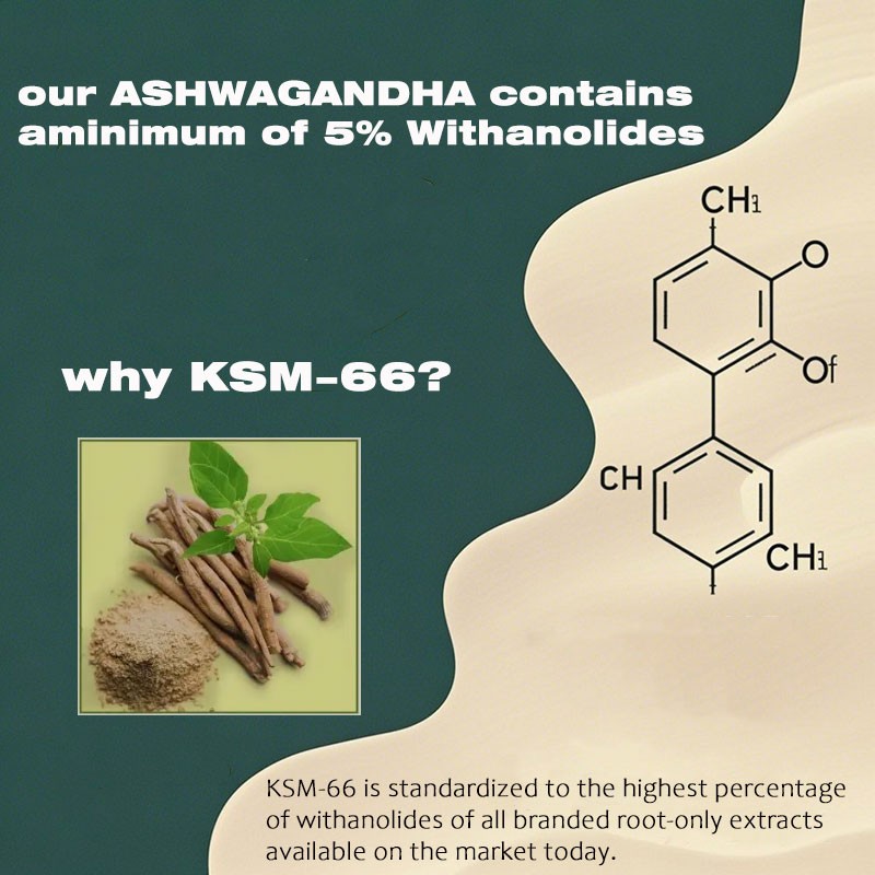Ashwagandha Gummies Manufacturer - Organic Root Extract Calming