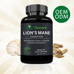Mushroom Extract Capsules Manufacturer - Lion's Mane Digestion Support