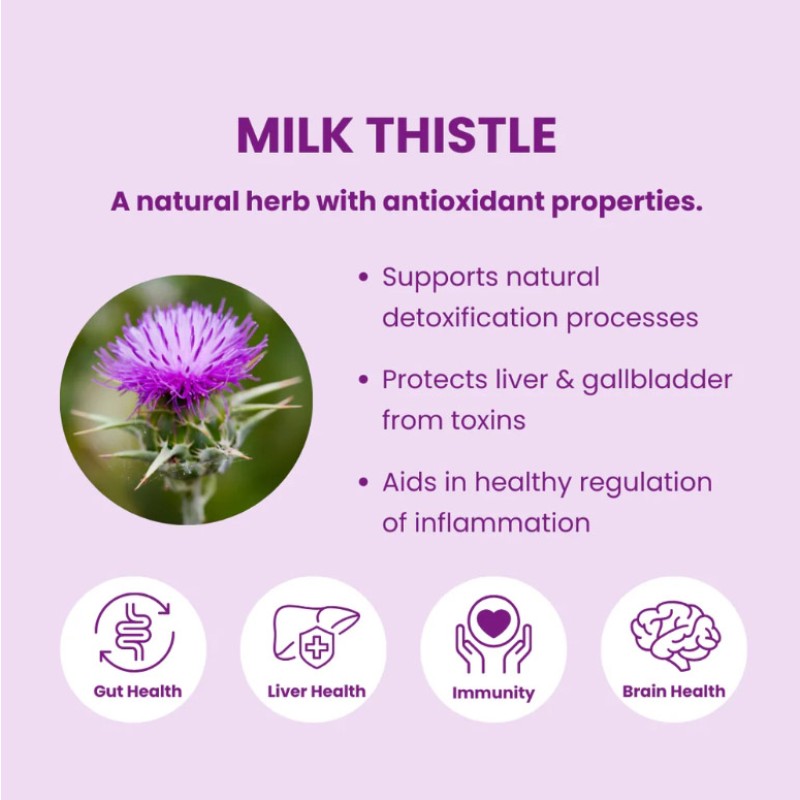 Milk Thistle Capsules Manufacturer - Natural Liver Detox Extract