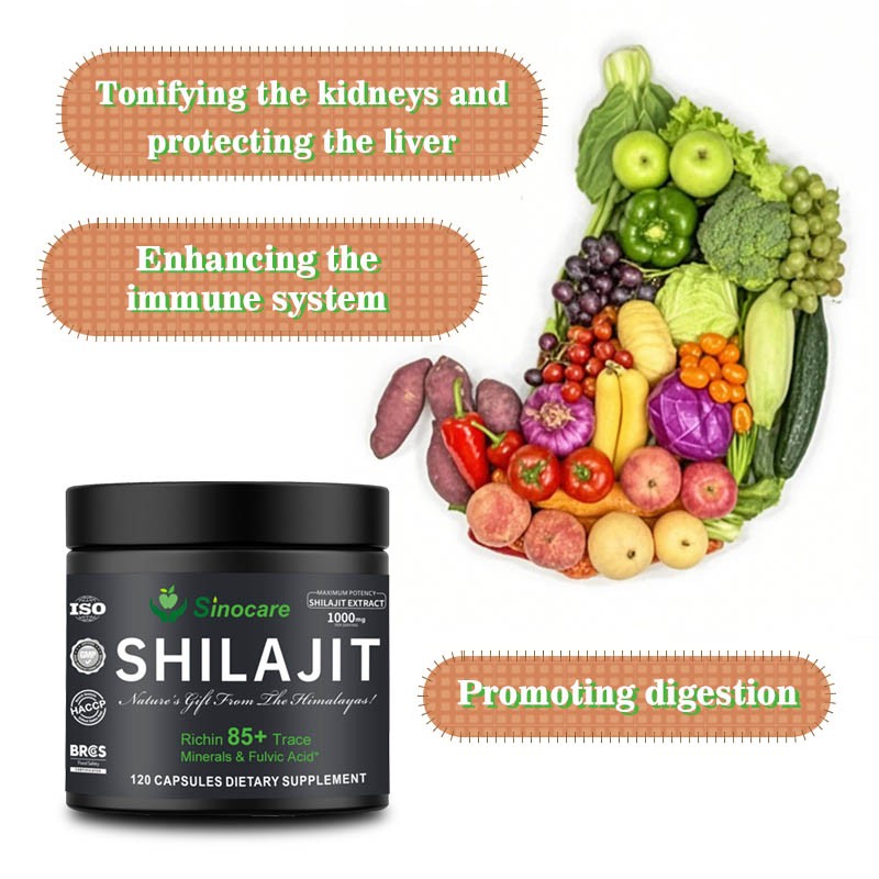 Shilajit Capsules Manufacturer - OEM Himalayan Resin Brain Support