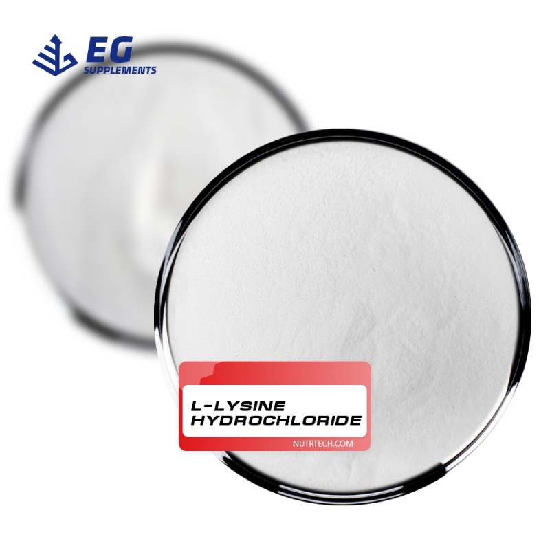 Lysine HCL Factory - Factory Price Nutrition Enhancers Feed Additives
