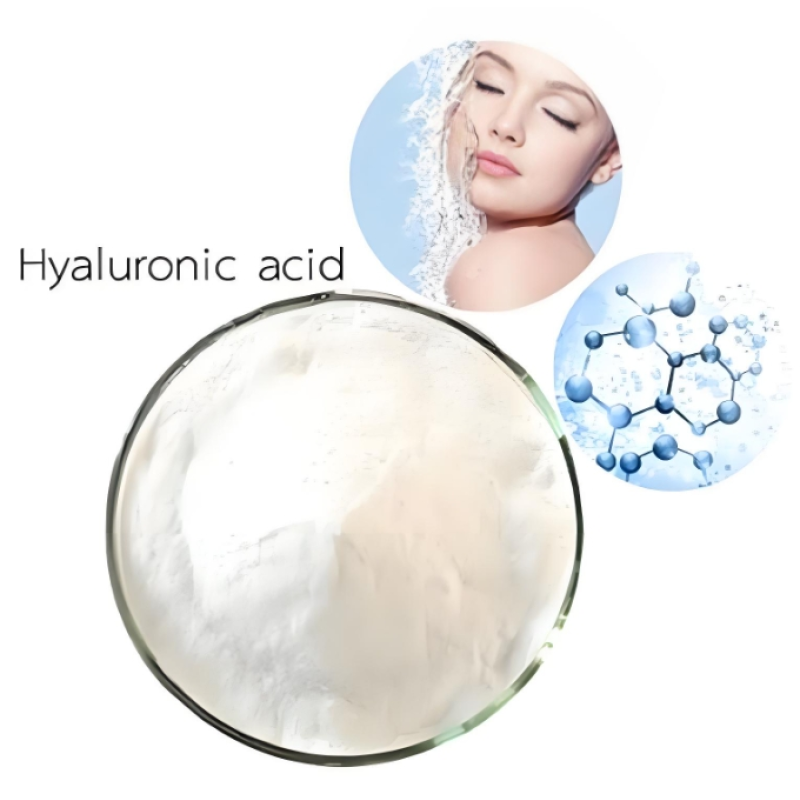 Sodium Hyaluronate Powder Supplier - Cosmetic Food Grade Bulk for Beauty