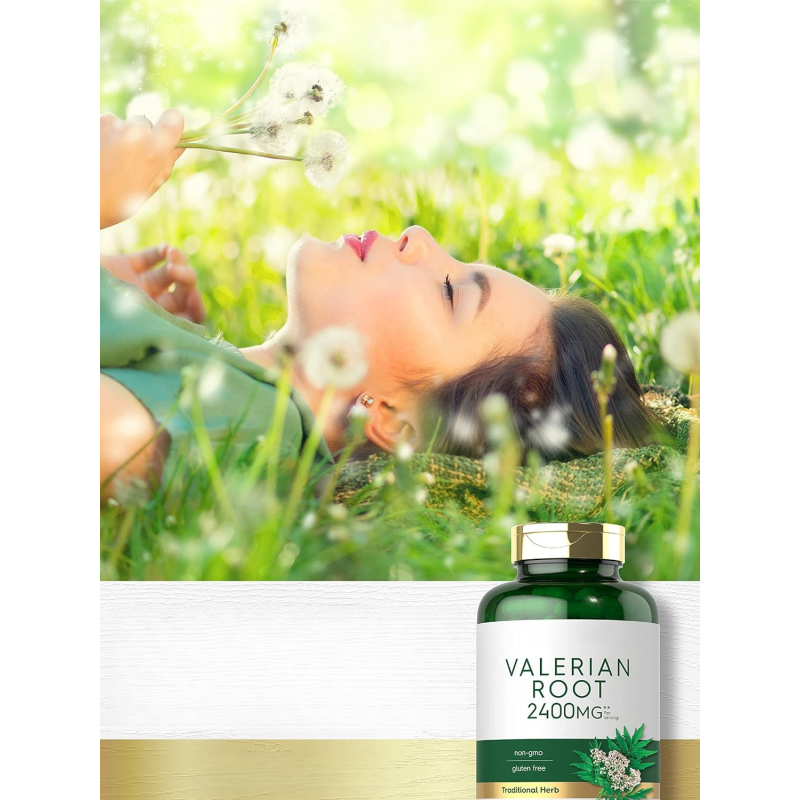 Valerian Root Capsules Manufacturer - Antioxidant Herbal Supplement
