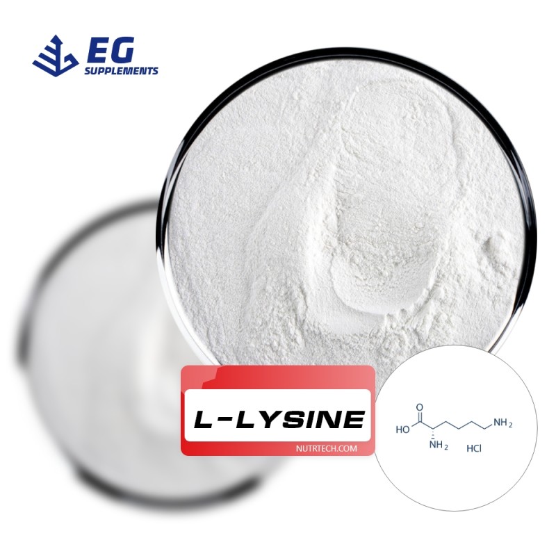 L-Lysine Powder Supplier - Poultry Feed Raw Material Enhancer