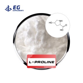 L-Proline Powder Manufacturer - Microwave Food Grade Healthcare Supplement