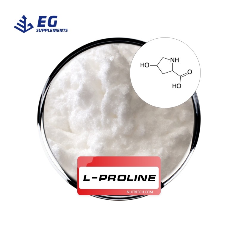 L-Proline Powder Manufacturer - Microwave Food Grade Healthcare Supplement
