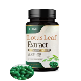 Slimming Capsules Supplier - Lotus Leaf Green Tea Natural Extract