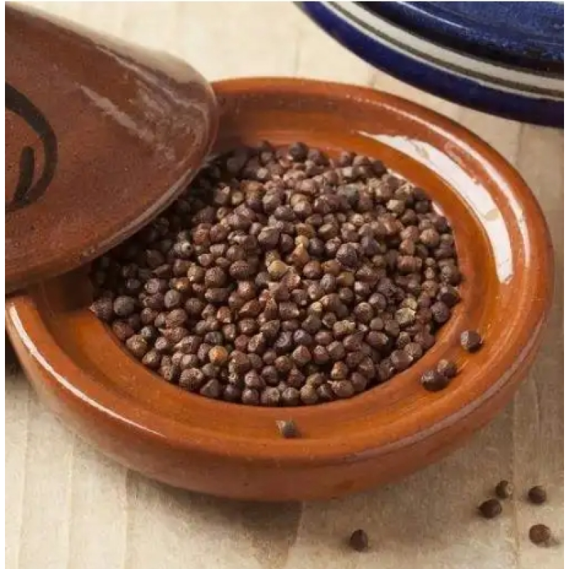 Piperine Extract Powder Supplier - Pure 90% 95% 98% Black Pepper