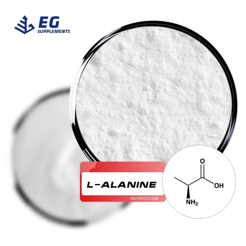 L-Alanine Powder Manufacturer - Food Grade Nutrition Enhancer Bulk