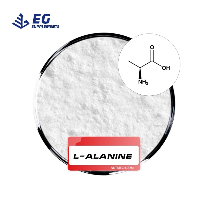 L-Alanine Powder Manufacturer - Food Grade Nutrition Enhancer Bulk