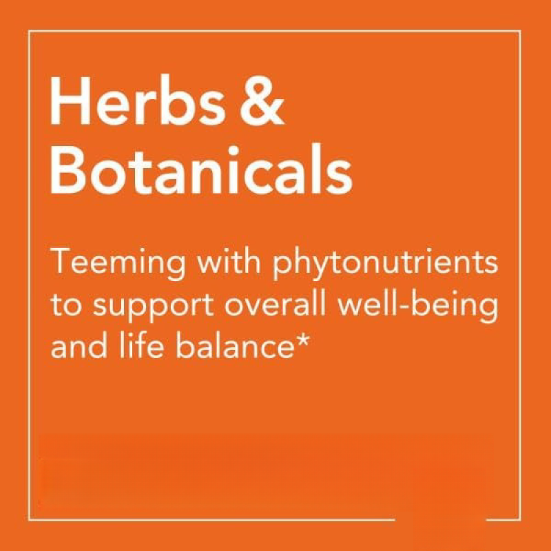 Sea Kelp Extract Factory - 100% Pure Burdock Root Seaweed Powder